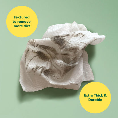 Toallitas hipoalergénicas para Perros, para Limpiar y Eliminar olores de Patas, Cuerpo y Trasero, Cachorros y Perros Adultos, Aroma a Lavanda, 100 Unidades - Creapet Studio