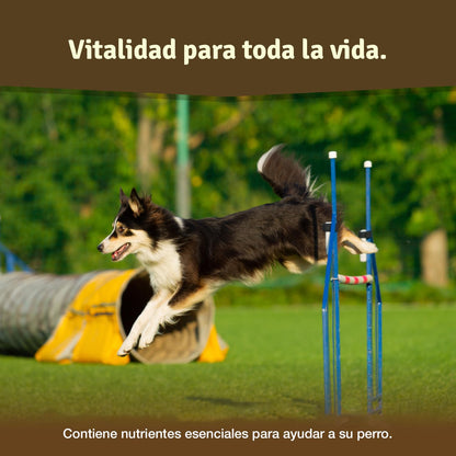 Comprimidos condroprotector Perros para articulaciones