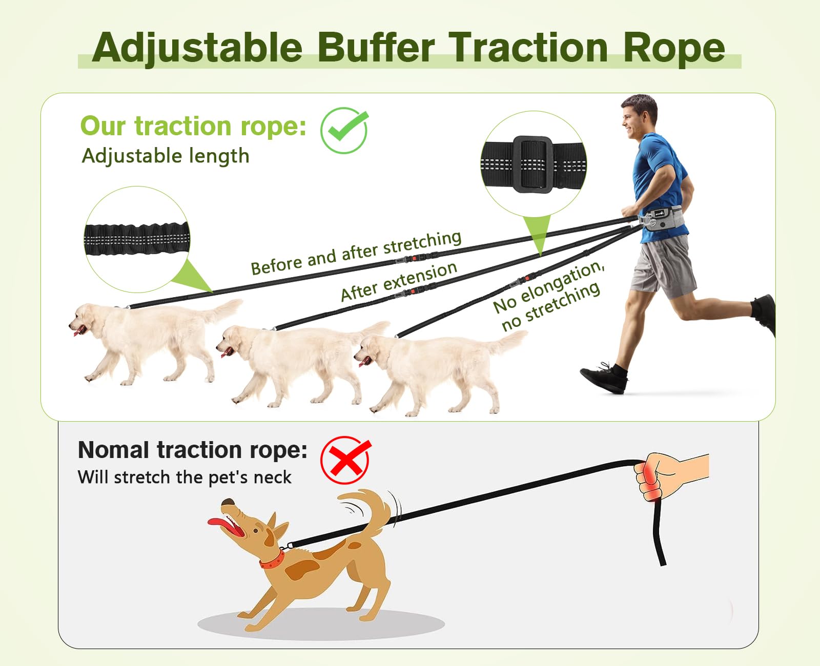 Correa para Perro pecute con Manos Libres para Perros hasta 110 kg de absorción de Choque, cómoda, Costura Reflectante, Ideal para Correr, Correr y Caminar - Creapet Studio