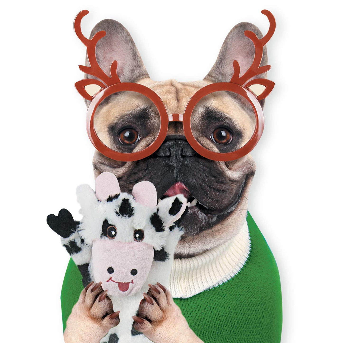 5 Juguetes chirriantes para Perros