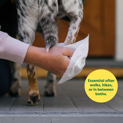Toallitas hipoalergénicas para Perros, para Limpiar y Eliminar olores de Patas, Cuerpo y Trasero, Cachorros y Perros Adultos, Aroma a Lavanda, 100 Unidades - Creapet Studio