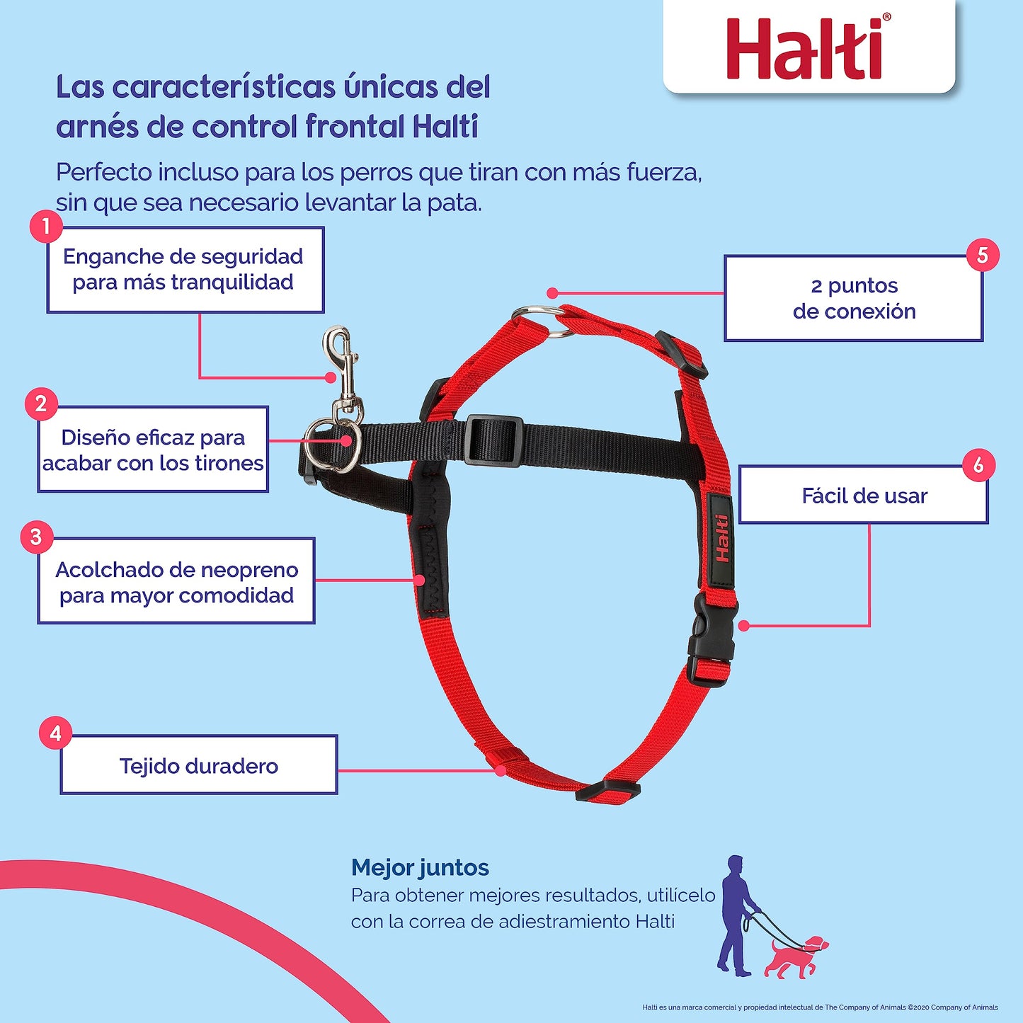 Arnés de control frontal - Para evitar que tu perro tire de la correa, Ajustable, Ligero y Fácil de Usar. Adiestramiento canino antitirones Arnés para perros medianos (Talla M) - Creapet Studio