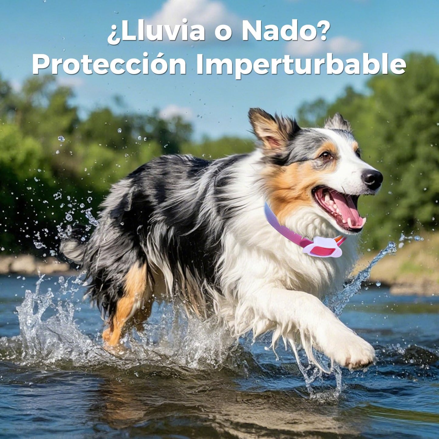 Collar Antiparasitario Natural para Perros 