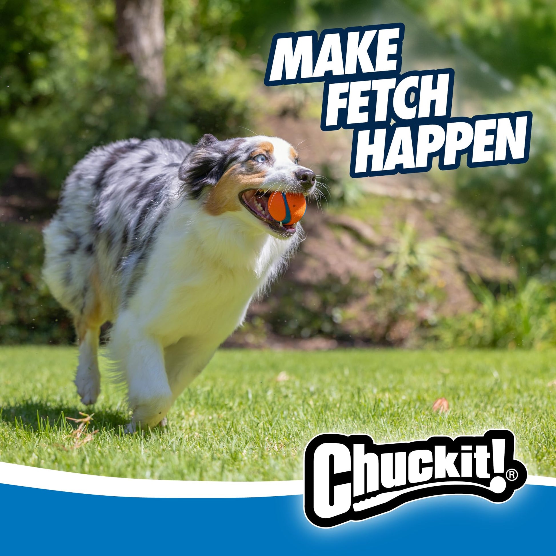 Chuckit Ultra Ball Medium - 2 Pelotas para Perros - Creapet Studio
