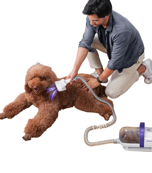 Aspirador pelos animal doméstico con cepillo para pelos de perro con un botón - Creapet Studio