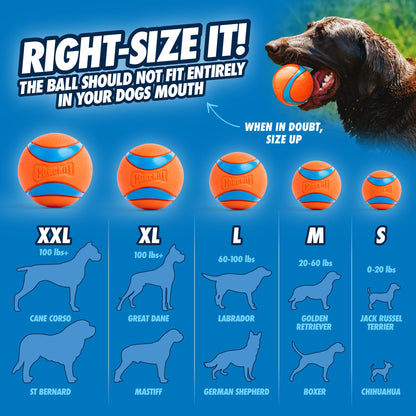 Chuckit Ultra Ball Medium - 2 Pelotas para Perros - Creapet Studio