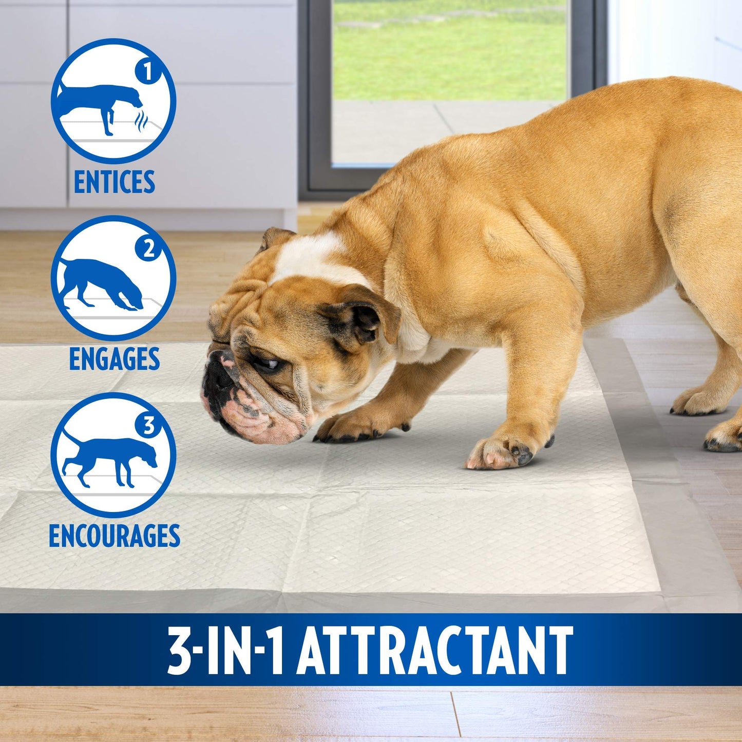 PetCare Almohadillas de Entrenamiento para Perros (Pack de 100)