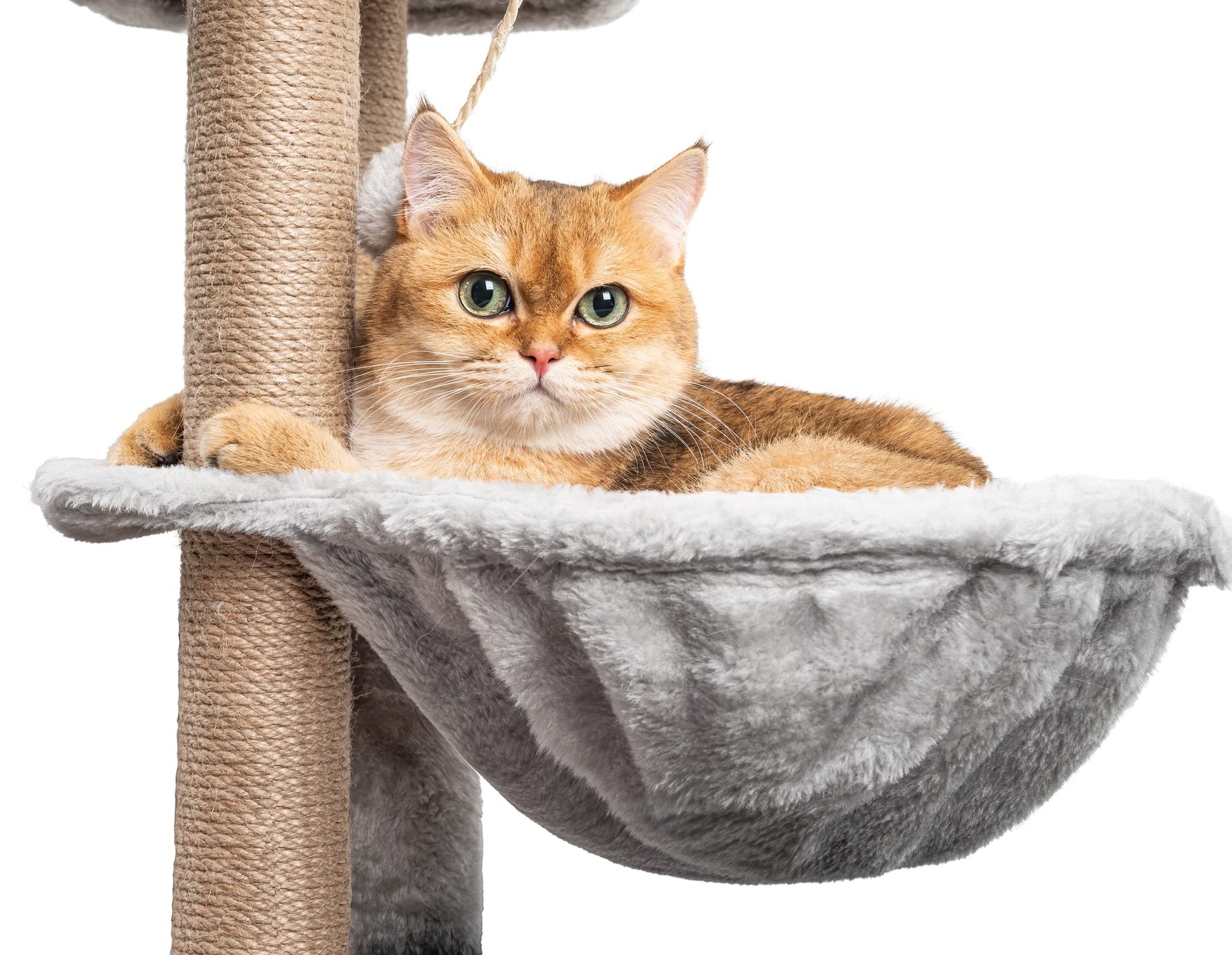 Rascador para Gatos Árbol para Gatos,145cm Rascador, Torre de Escalada, Estable de Varios Niveles, árboles de Actividades con 7 Postes de sisal, 5 Plataformas, 2 nidos - Creapet Studio