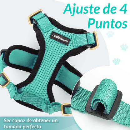rabbitgoo Arnes para Gatos Antiescape con Correa 150cm, Arnes Gato Ajustable Reflectante, Chaleco de Tela de Malla Suave y Transpirable, Arnés Gato Pequeño para Caminar Entrenar, XS, Verde - Creapet Studio
