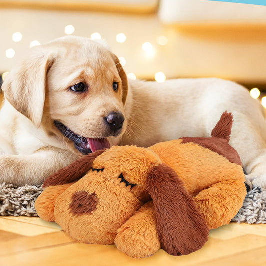 Juguete de latido del corazón para aliviar ansiedad de cachorros