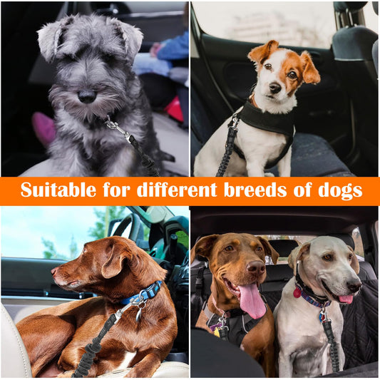 Cinturon Seguridad Perro Coche con Elástico - 2 Piezas Correa Perro Coche Ajustable con Bolsa de Almacenamiento, para Todas Las Razas Perros y Gatos (50-88cm) - Creapet Studio