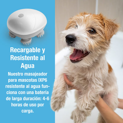 Masajeador de mascotas electro para perros y gatos más viral - Creapet Studio
