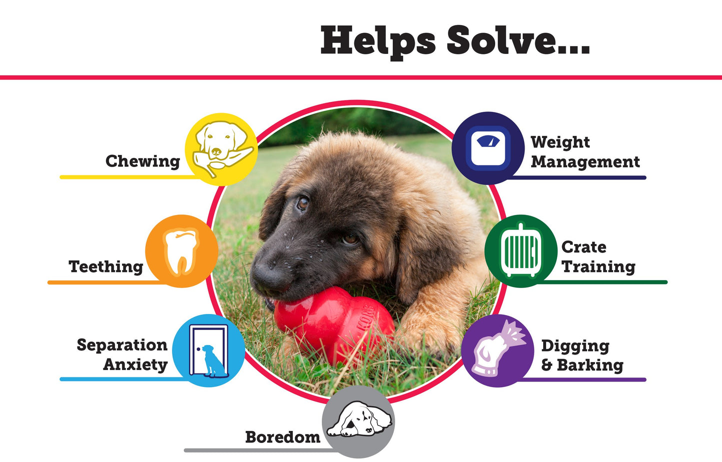 KONG Senior Juguete para perro Púrpura