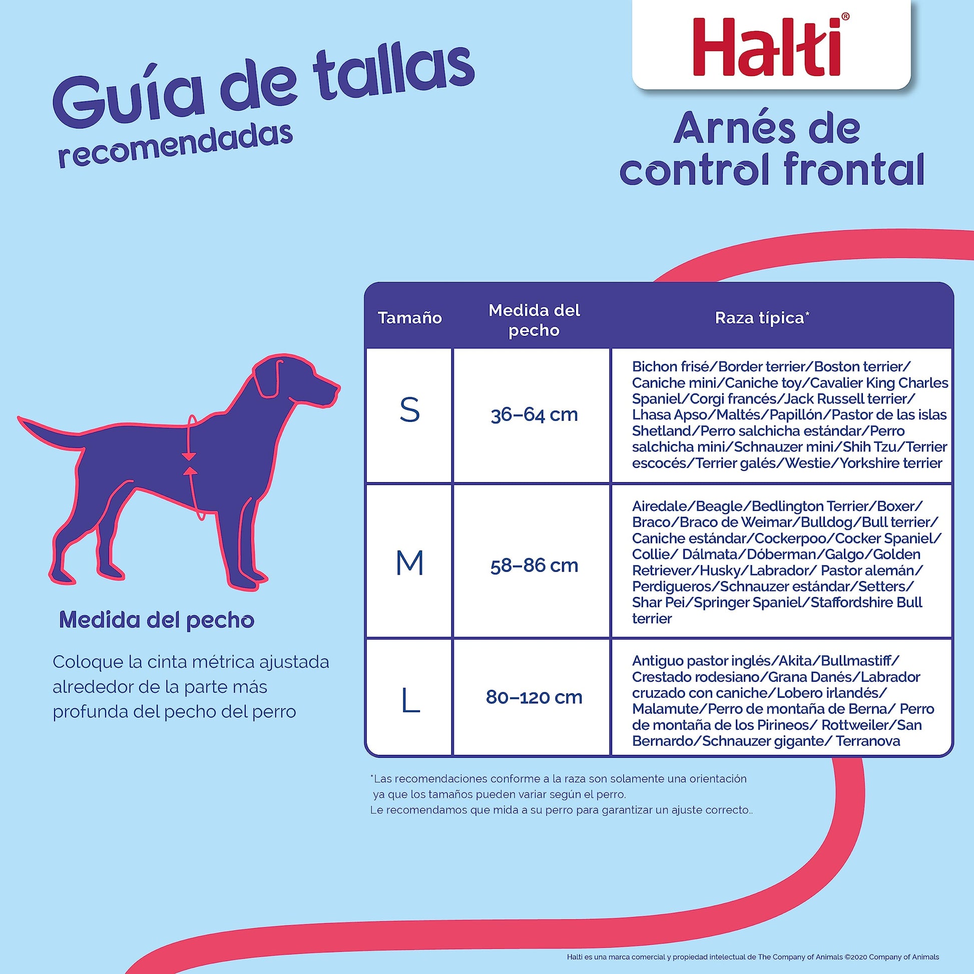 Arnés de control frontal - Para evitar que tu perro tire de la correa, Ajustable, Ligero y Fácil de Usar. Adiestramiento canino antitirones Arnés para perros medianos (Talla M) - Creapet Studio