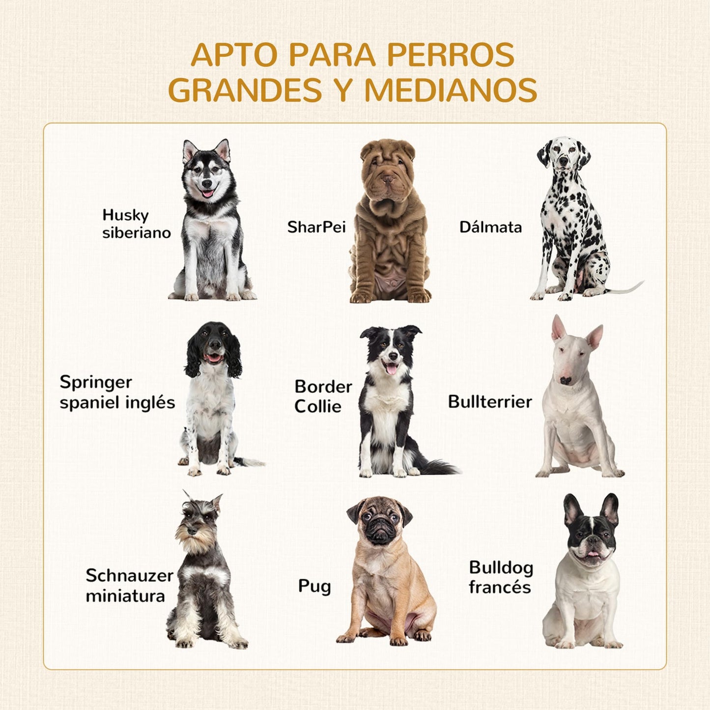 Mueble jaula de casa para Perros