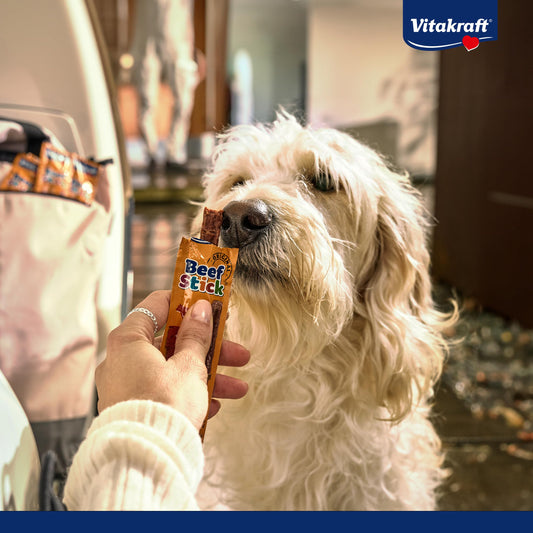 Vitakraft Beef Stick Rustico, golosinas para perros, bocaditos de salami, sin azúcar añadido (7x 55g) - Creapet Studio