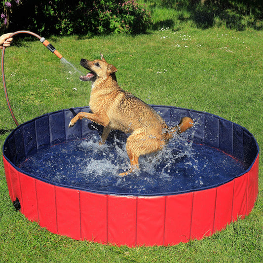 Piscina Plegable de PVC para Perros, Bañera para Perros Piscina para Mascotas Bañera Plegable para Perros, (M) 120 cm Ø Altura 30 cm Azul/Rojo - Creapet Studio