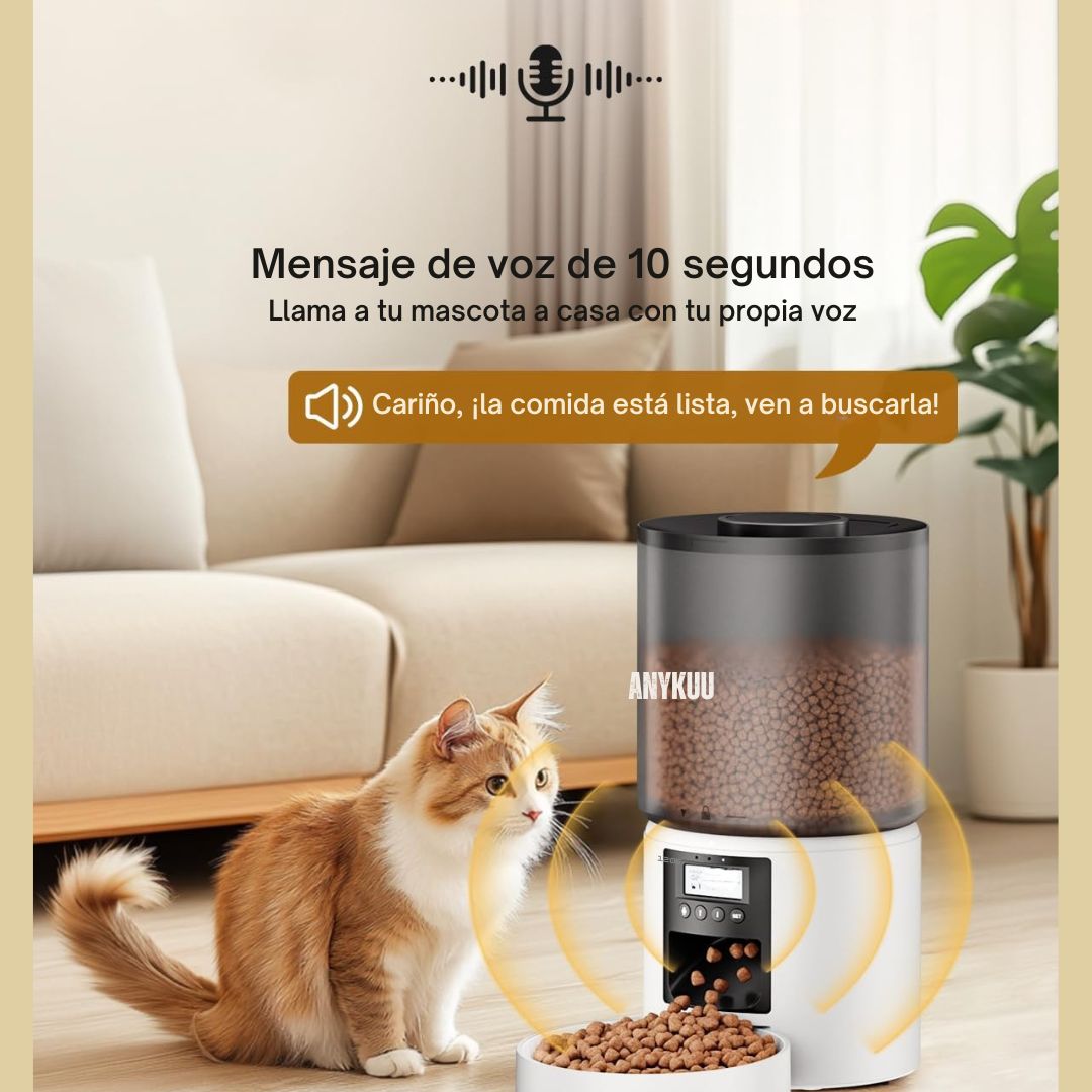 Comedero Automatico para Gato más vendido en amazon