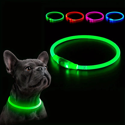 Collar de luz LED para perro mascota