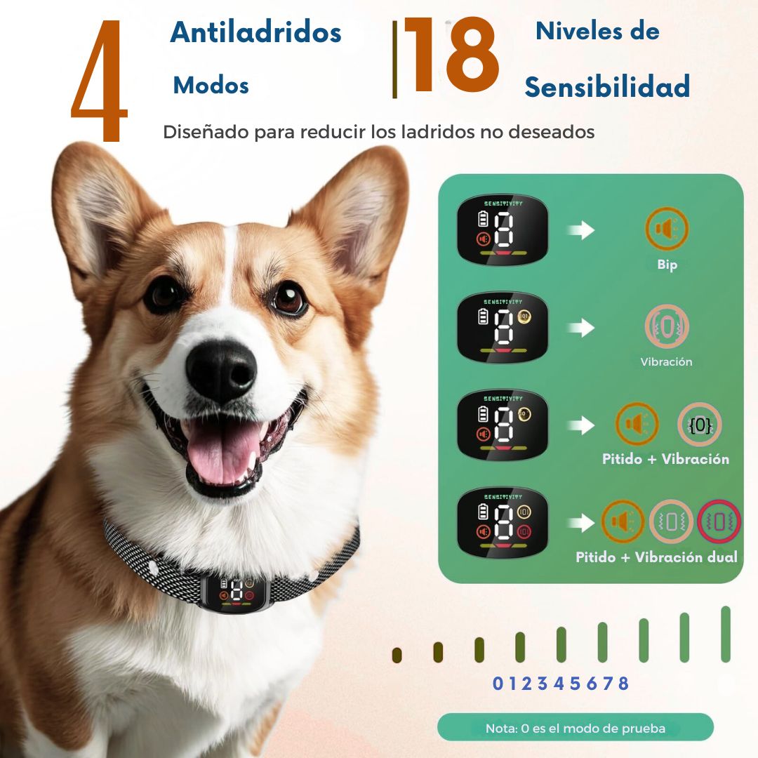 Collar Antiladridos para Perros