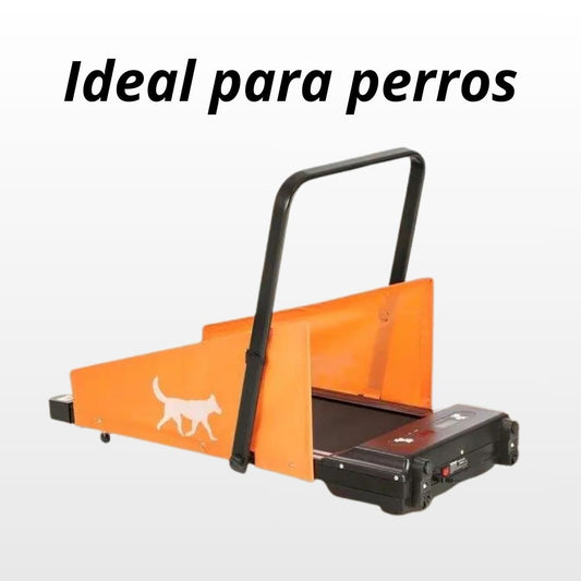 Cinta de Correr para Perros Medianos| Ejercicio y Entrenamiento en Casa – Creapet