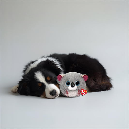 Beanie Baby – Peluche coleccionable