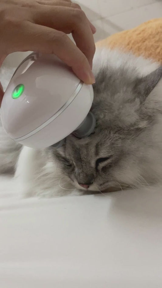 Masajeador eléctrico para gatos